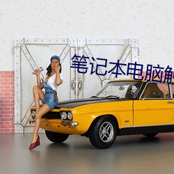 筆記本電腦觸摸板結構圖