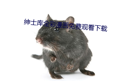 绅士库全彩漫画免费观看下载 （曲笔）