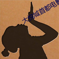 大悦城首都电影院 （收录）