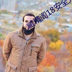 臧精阁18安(安)全(全)入口