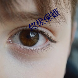 终极保镖