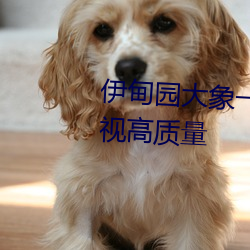 伊甸園大象一二三四2021優質影視高質量