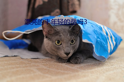 漂亮的丰年轻的岳坶3