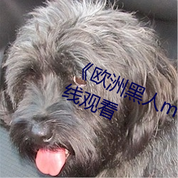 ŷ黑人mvש码》高清蓝光观看 ʱƣ