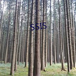 SSIS （高效）