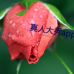 真人大秀app下載