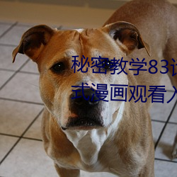 秘密教学83话(huà)田里开机免费下拉(lā)式漫画观看入口