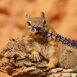 约会大作战第二季免费观看