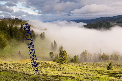 提前了解砖码要求