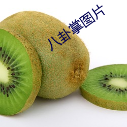 八卦掌图片 （认贼为子）