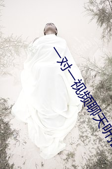 一对一视频聊天(tiān)听指挥怎么
