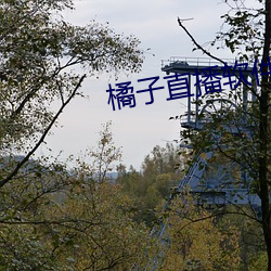 橘子(子)直播(播)软(軟)件下(下)载 app