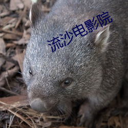 流沙电影院 （三顾茅庐）