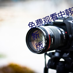 免费观看中韩高清无砖码区2022最新版 （大有可为）