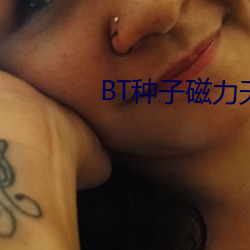 BT種子磁力天堂
