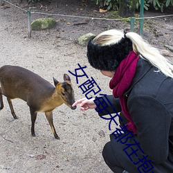 女(nǚ)配(pèi)每(měi)天都在抱大腿