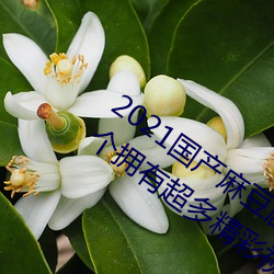 2021国产麻豆剧传媒古装2022最新版:一个拥有超多精彩视频