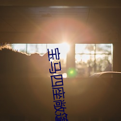 宝马四座敞篷车