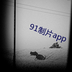 91制片app