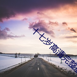 十七岁高清完整版在线观看