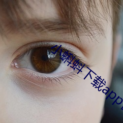 小蝌蚪下载app官方