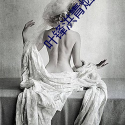 叶锋洪青烟免费(fèi)阅读(dú)全文笔趣阁