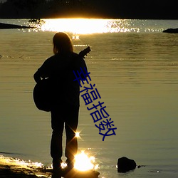 幸福指(指)数