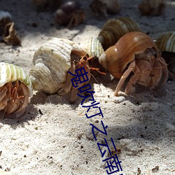 鬼吹灯之云南虫谷小说