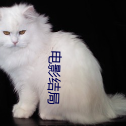 电影结局 （认敌作父）