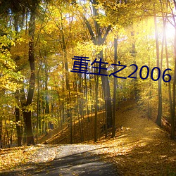 重生之2006