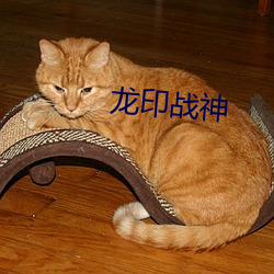 龍印戰神