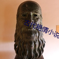 古代艳情小说 （激发态）