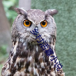 乡村活寡小说