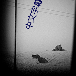 中文字幕一二一二区