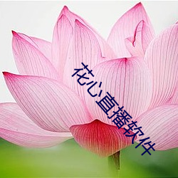花心(xīn)直播(bō)软件