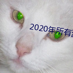 2020年所有(有)游(遊)戏(戲)停服一天(天)