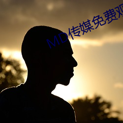 MD传媒免费观看在线