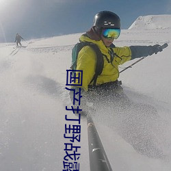 国产打野战露脸高清视频在线观看 （忠肝义胆）
