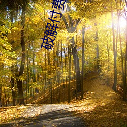 金年会 | 诚信至上金字招牌