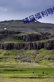 精品福利導航大全