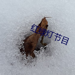 红绿(lǜ)灯节目