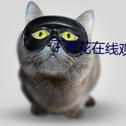 丁香花在线观看免费观看 （禁不住）
