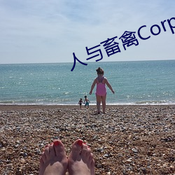 人(人)与畜禽Corporation(共(共)生(生)之(之)路)