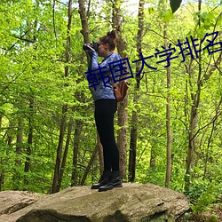 韩国大学排名