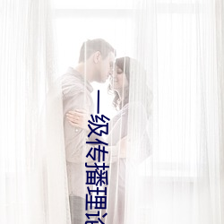 一级传播理论的ppt