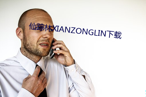 仙(仙)踪(蹤)林XIANZONGLIN下载