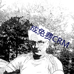 成(成)免(免)费CRM