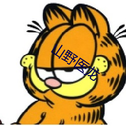 山野医龙