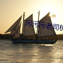 污污污老(lǎo)司机(jī)