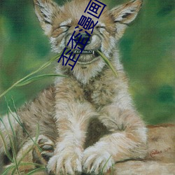歪歪漫畫下載安裝